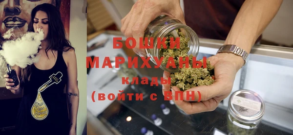 PSILOCYBIN Белокуриха