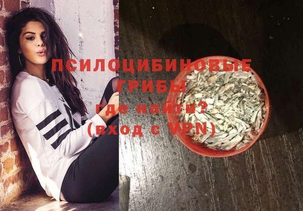PSILOCYBIN Белокуриха