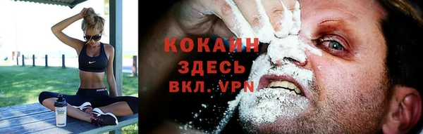 PSILOCYBIN Белокуриха