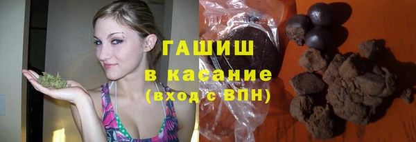PSILOCYBIN Белокуриха