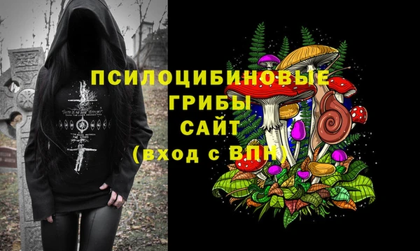 ешки Горно-Алтайск