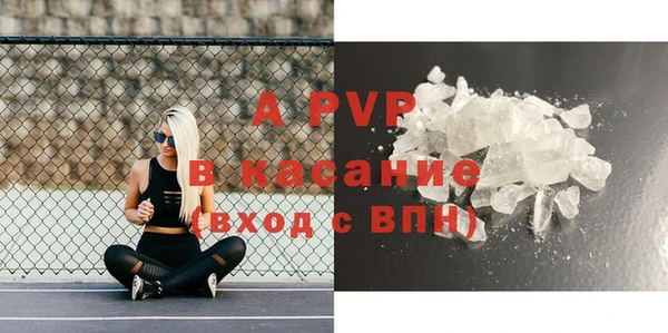молекула духа Богданович