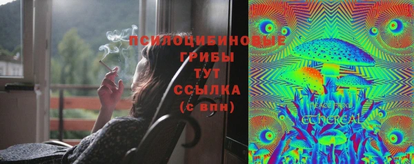 тгк Горнозаводск