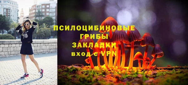 PSILOCYBIN Белокуриха