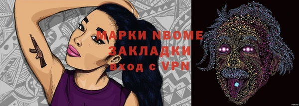 шишки Беломорск