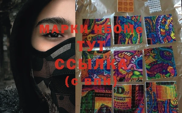 PSILOCYBIN Белокуриха