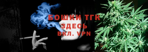 PSILOCYBIN Белокуриха