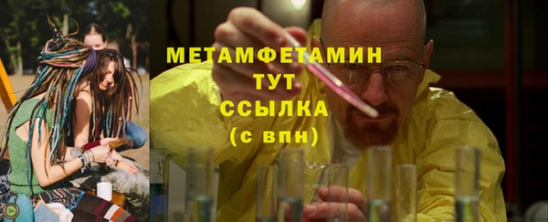 шишки Беломорск