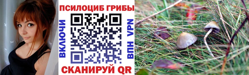 Псилоцибиновые грибы MAGIC MUSHROOMS  Южа 